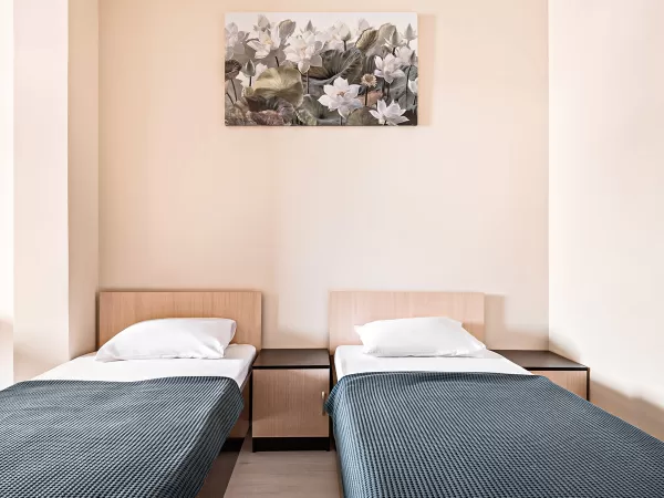 Номер категории Стандарт «Для троих +» в санатории «Вернисаж» в г. Кисловодске - фотография